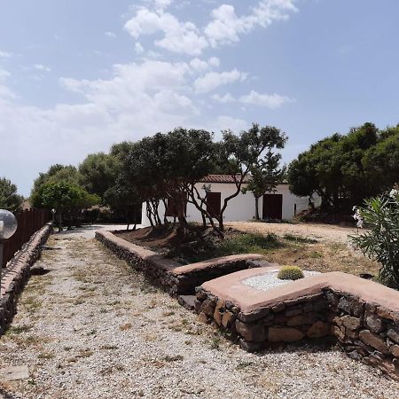 Vila Casa Olivastra Dorgali Exteriér fotografie
