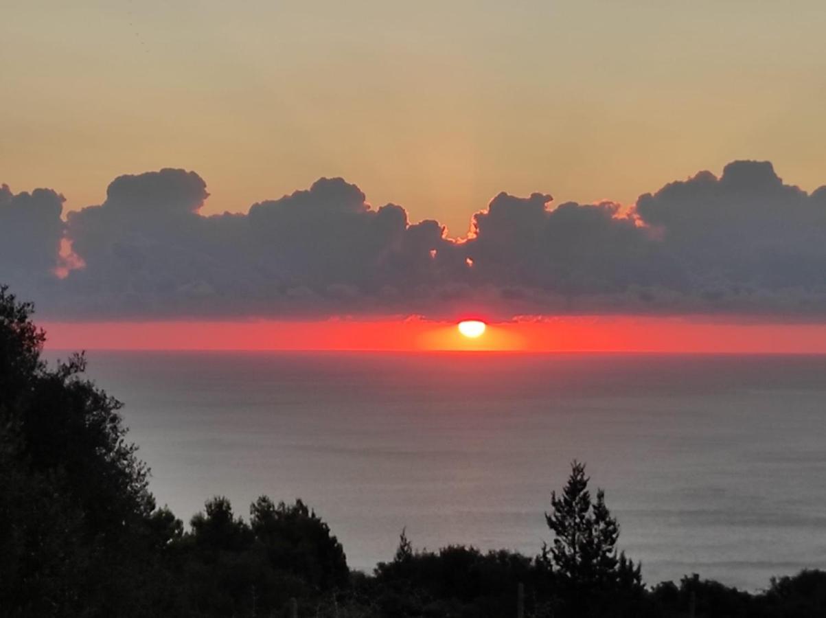 Vila Casa Olivastra Dorgali Exteriér fotografie