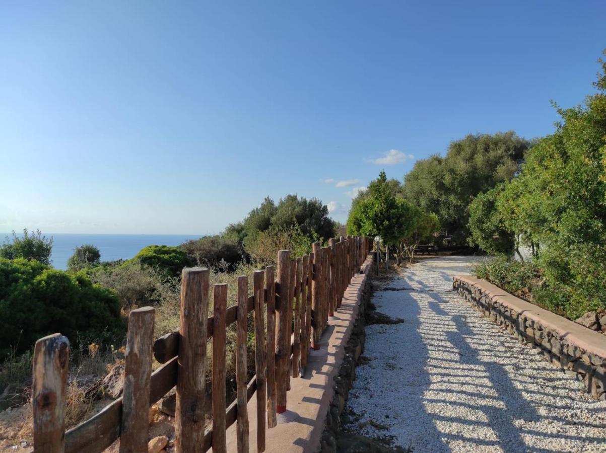 Vila Casa Olivastra Dorgali Exteriér fotografie