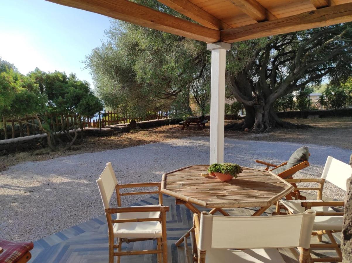 Vila Casa Olivastra Dorgali Exteriér fotografie